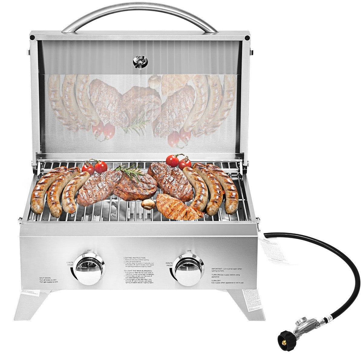 Propane TableTop Gas Grill Stainless Steel Two-Burner BBQ - Giantex