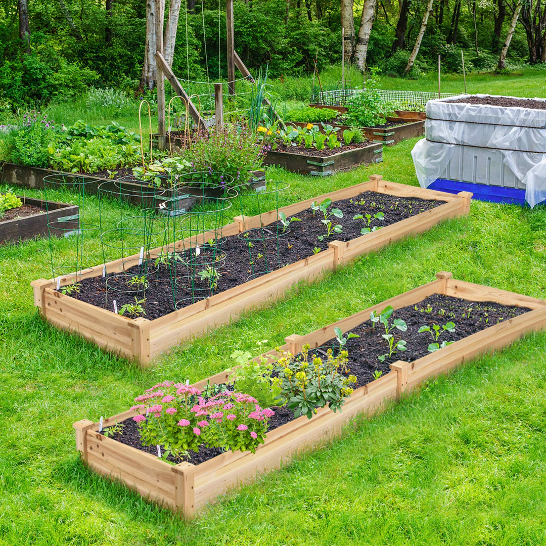 Raised Garden Bed Wood Planter Box, ( 97" x 25" x 10" )