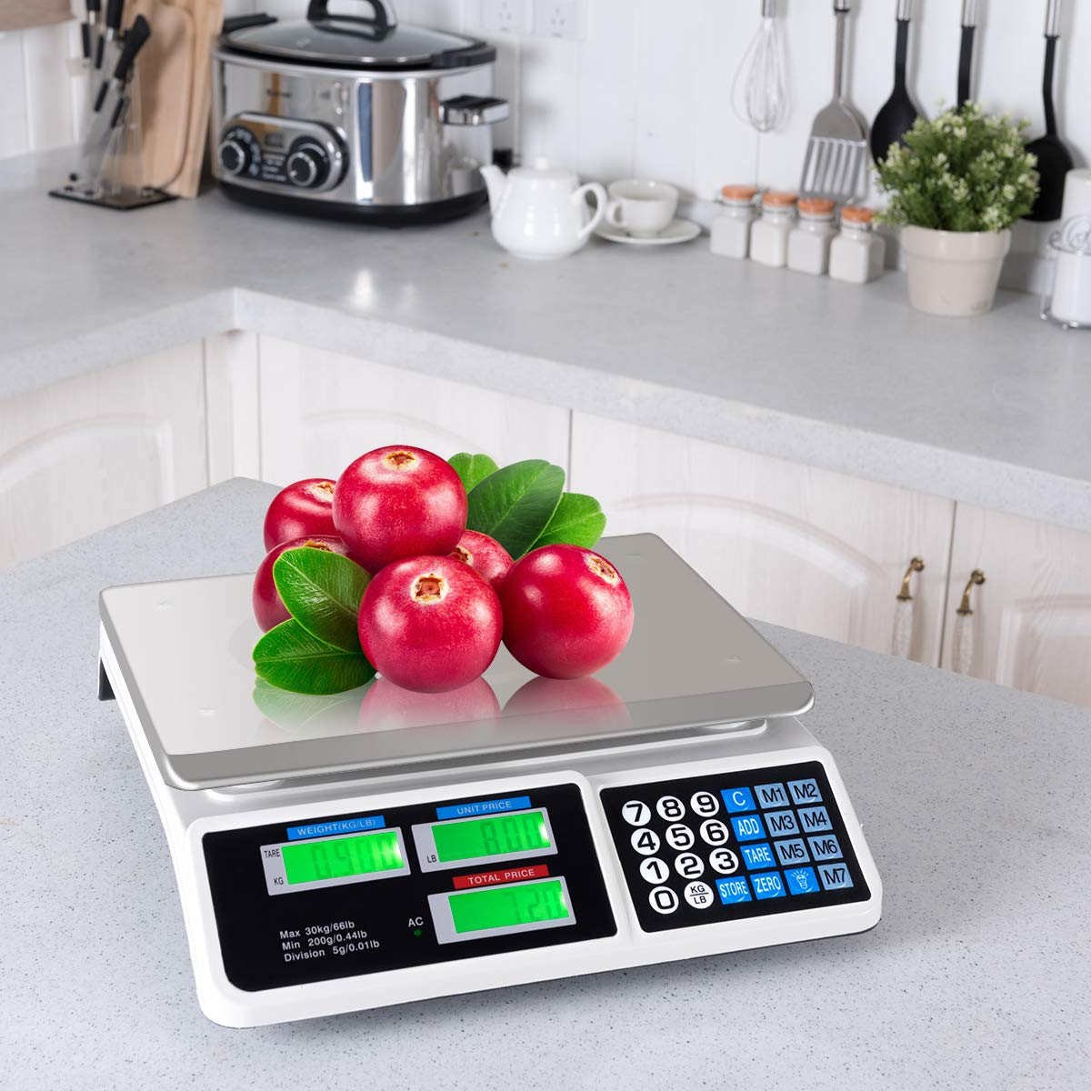  Price Computing Scale 66LB Electronic Meat Scale