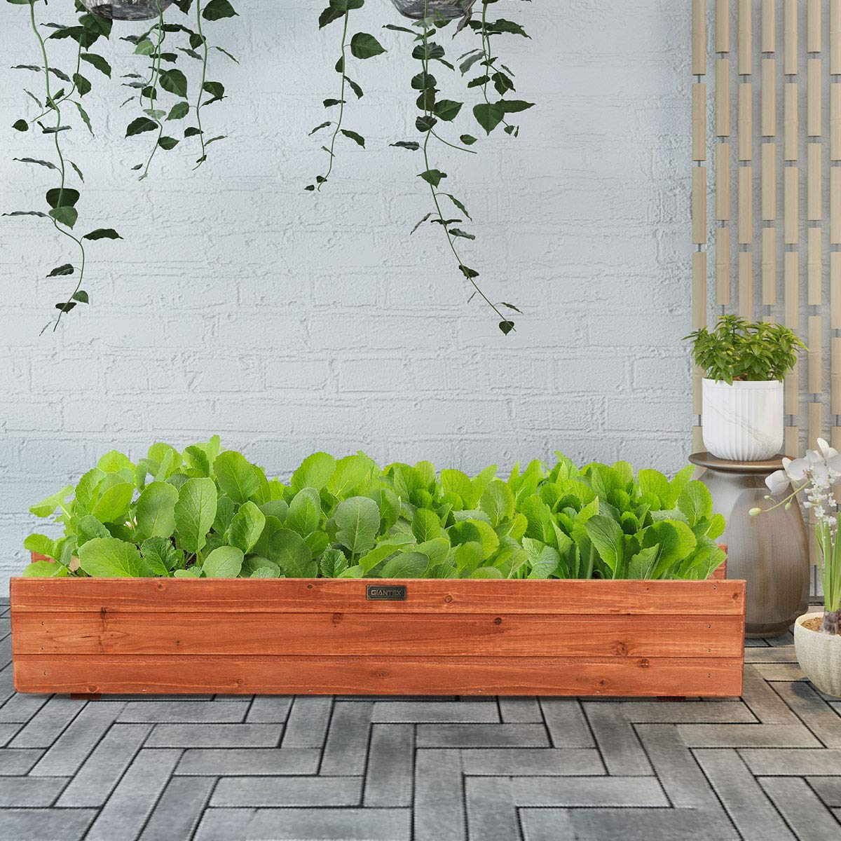 Raised Garden Bed Flower or Vegetable Planter (36" L X 7" W X 6" H)