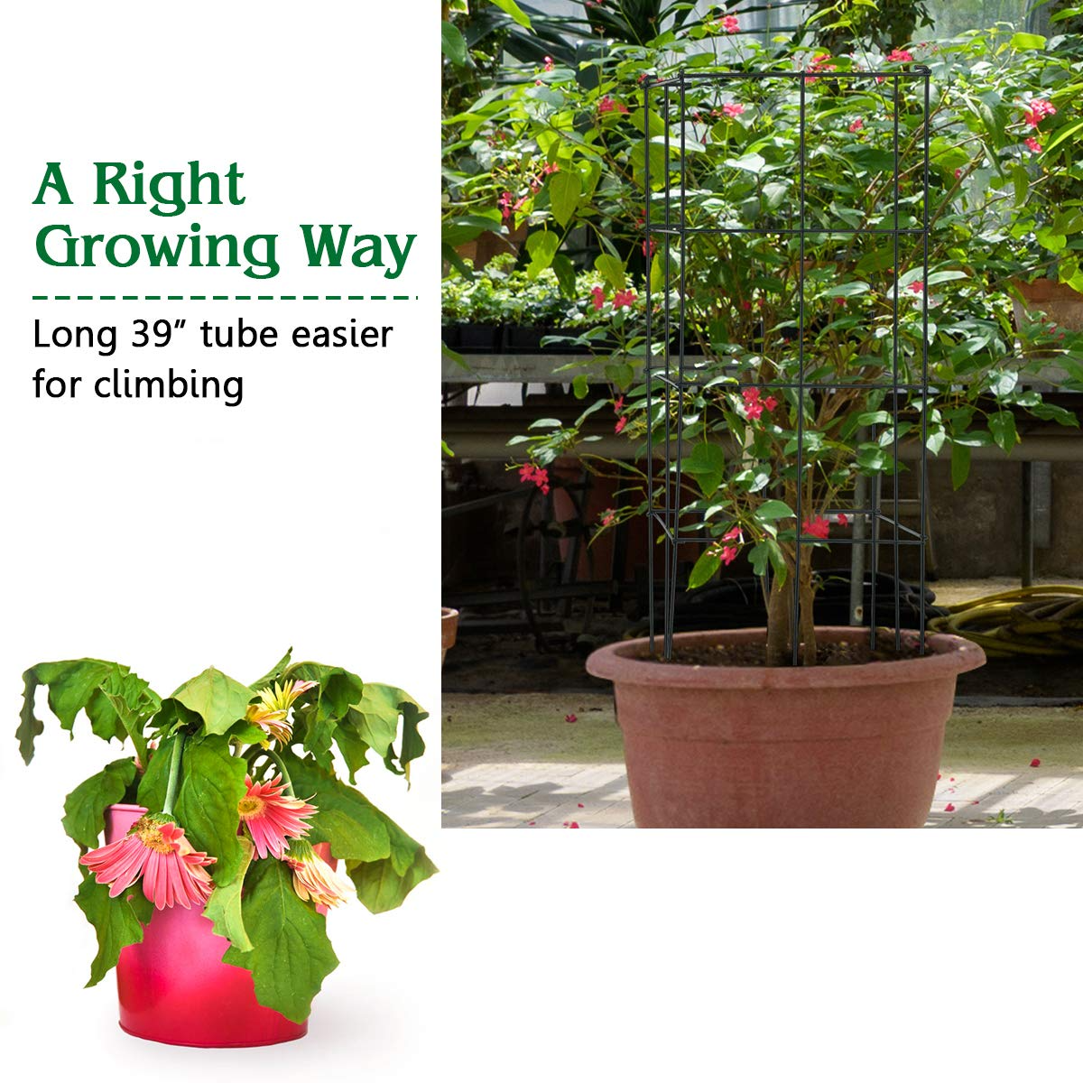 Giantex Pack of 4 Plant Cage Support, Tomato Stakes and Cages (16''Lx 16''Wx 39''H (4 Pieces))