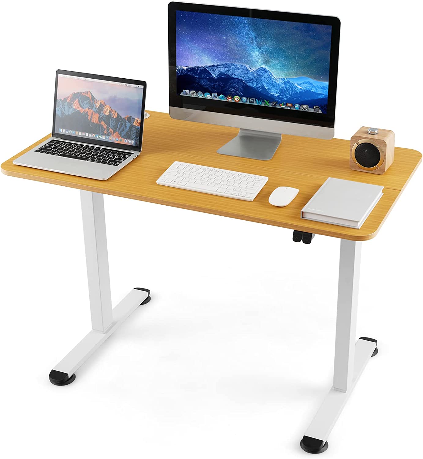 Giantex Electric Standing Desk