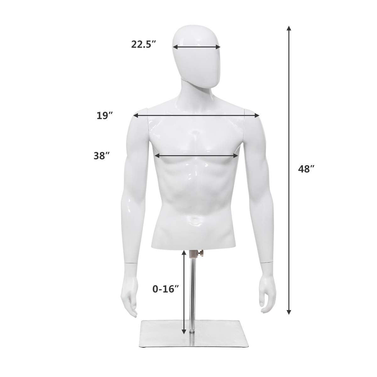 Giantex Male Mannequin Torso Adjustable Height