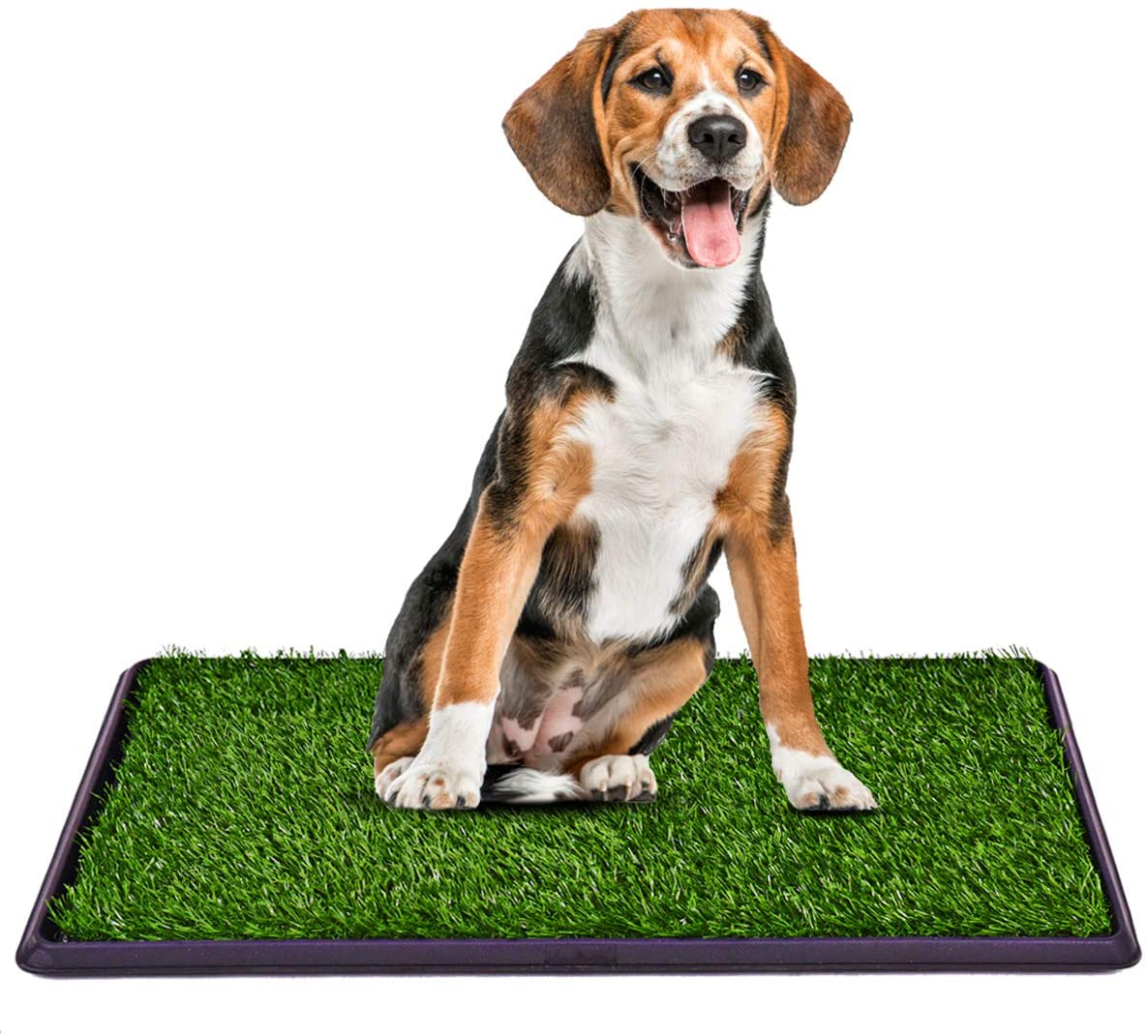 Giantex 30"x20" Puppy Pet Potty Grass Pee Pad