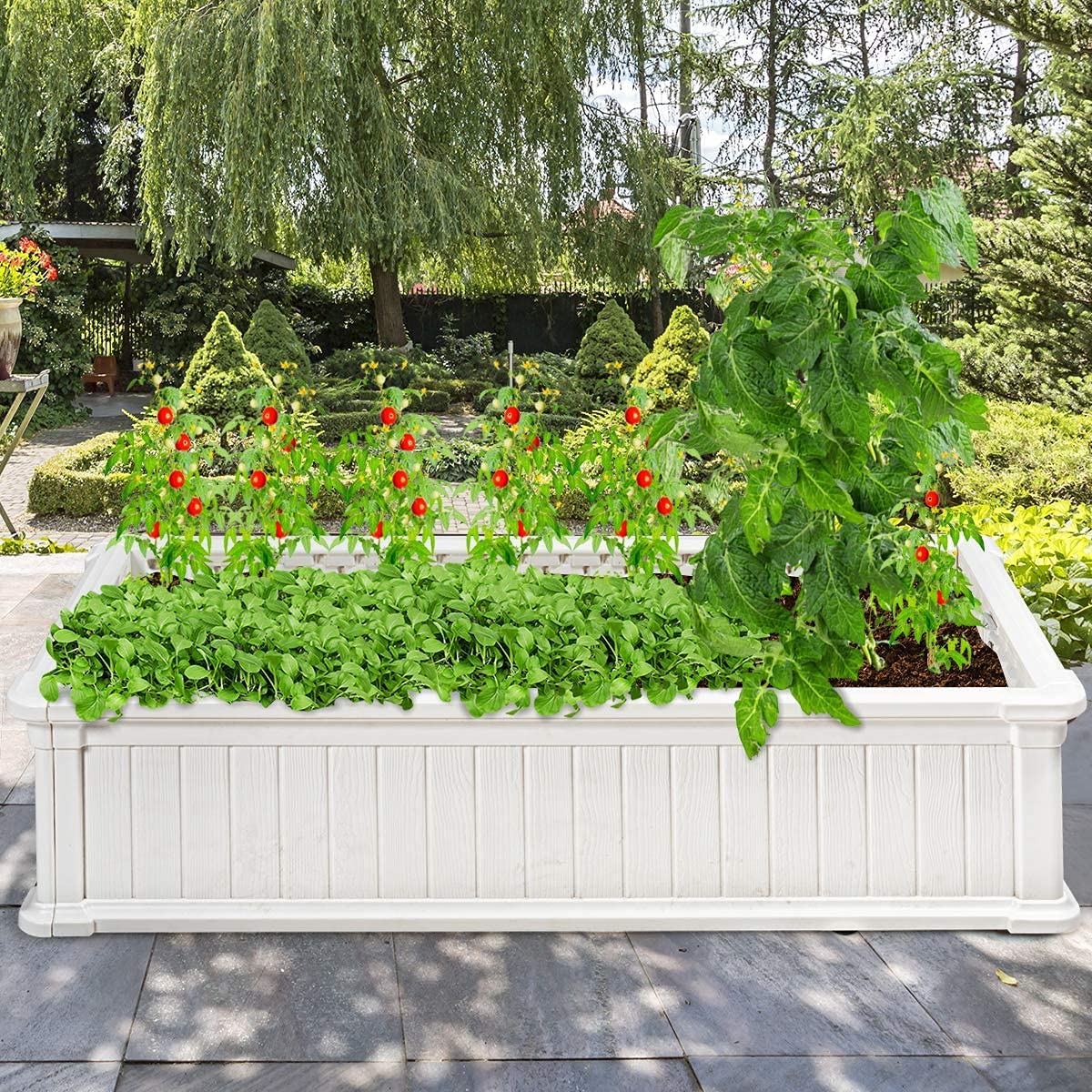 Large Raised Garden Bed for Flower and Vegetable