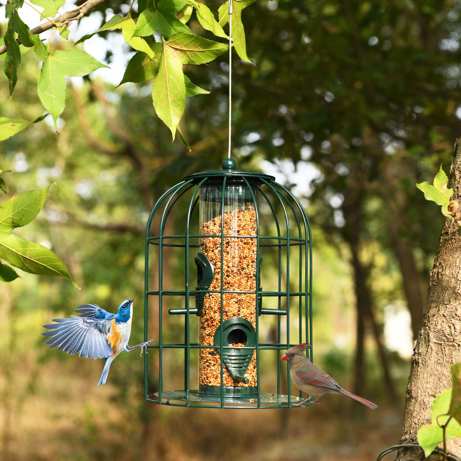 Giantex Metal Hanging Bird Feeder, Outdoor Squirrel-Proof Bird Feeder Cage with 4 Feeding Ports, Transparent PC Tube