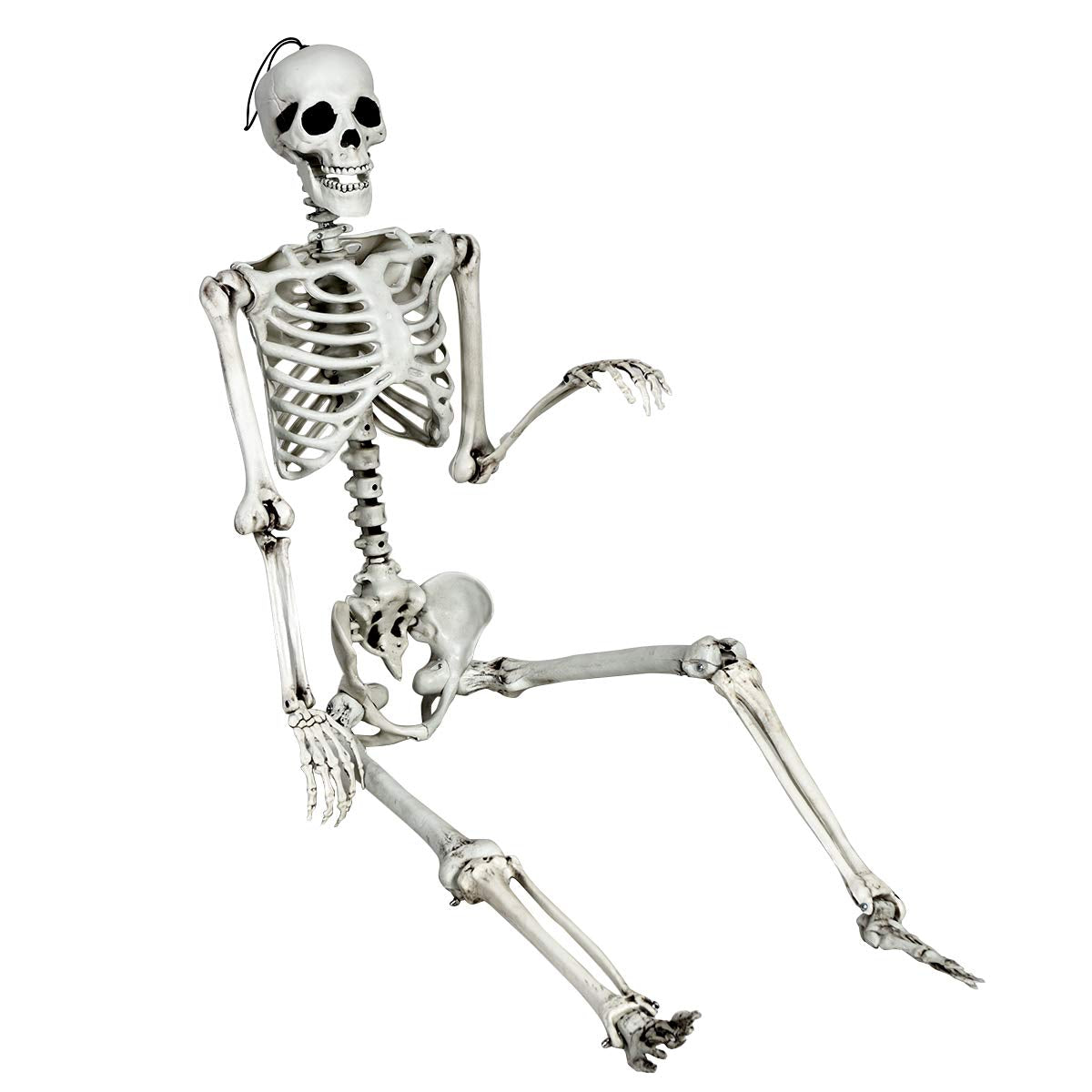5.4 Ft Halloween Skeleton, Life Size Realistic Human Bones