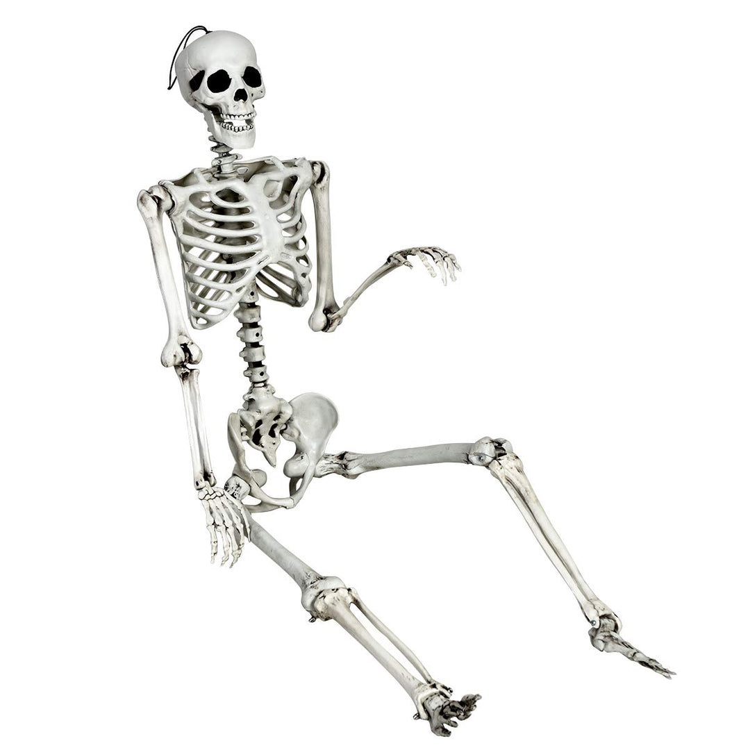 5.4 Ft Halloween Skeleton, Life Size Realistic Human Bones