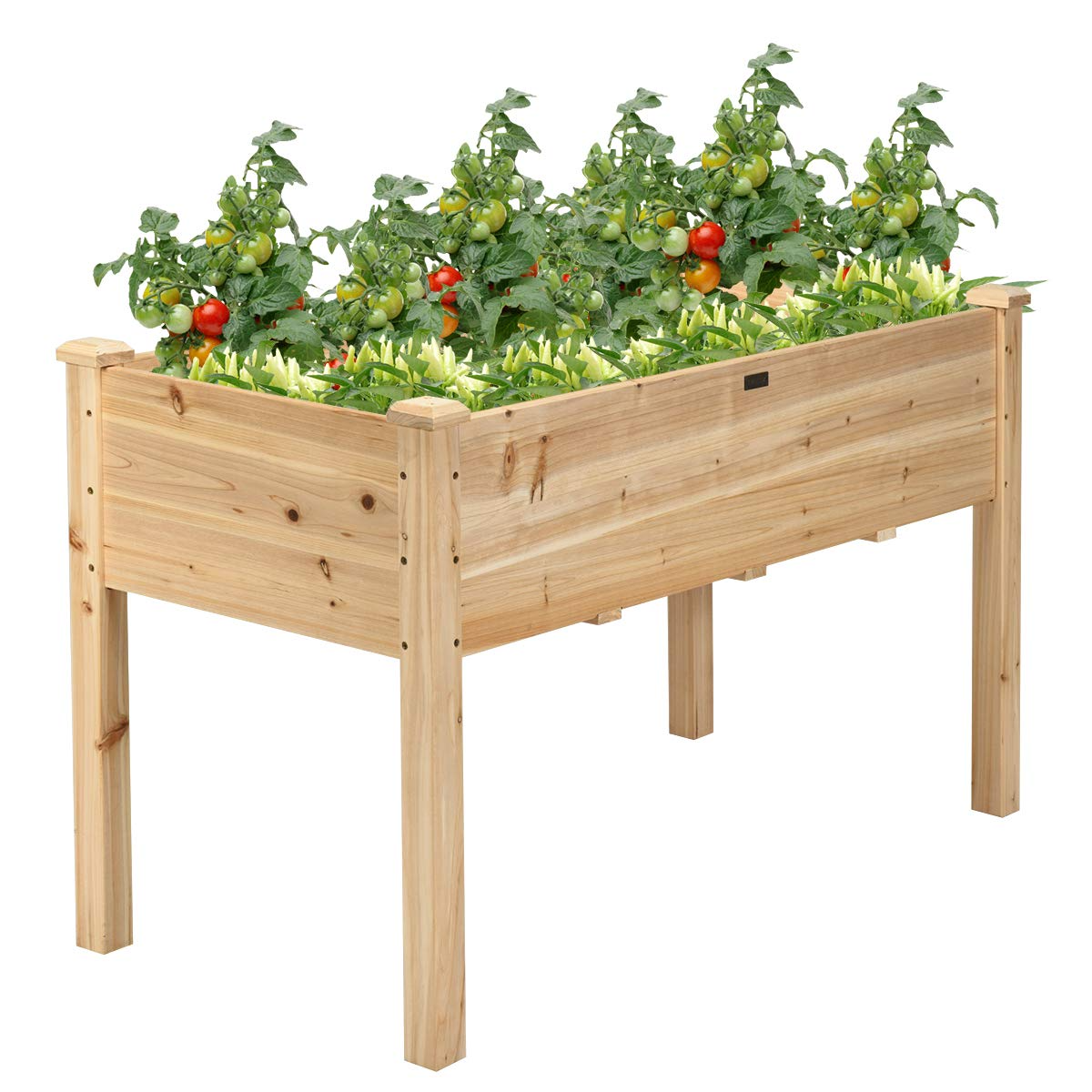 Raised Garden Bed with Legs, 49" L x 23" W x 30" H