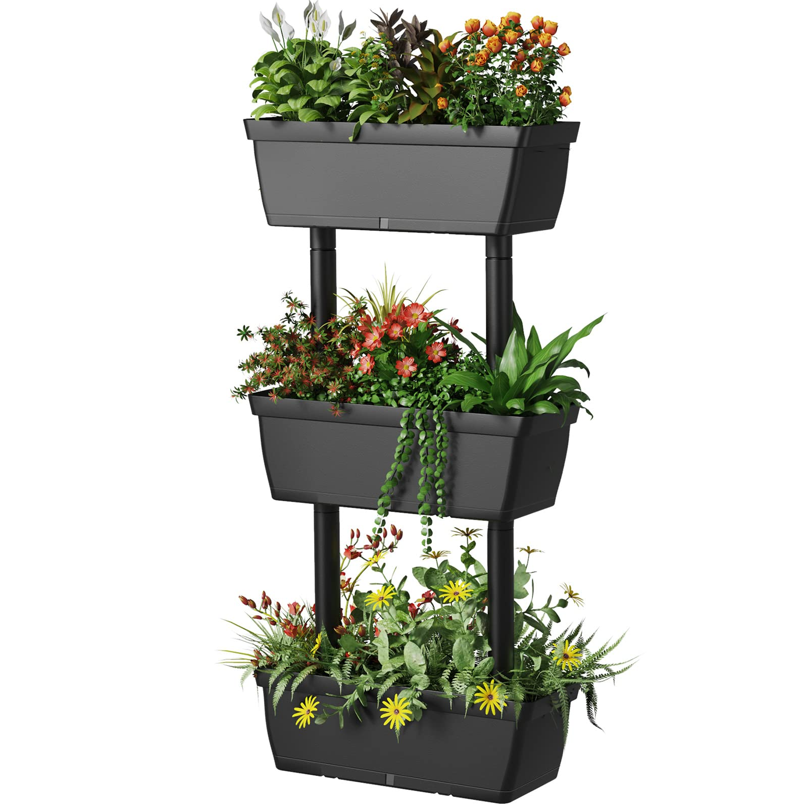Indoor Outdoor Elevated Container Box for Herb Vegetable Planting