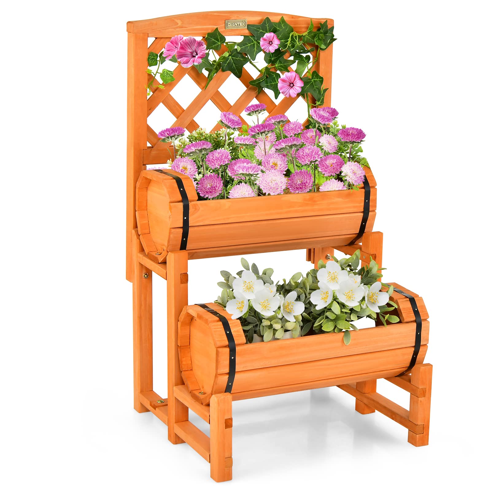 Giantex Raised Garden Bed with 2 Barrel Planters & Trellis, 2-Tier Freestanding Wooden Raised Bed for Vegetable Flower Fruit