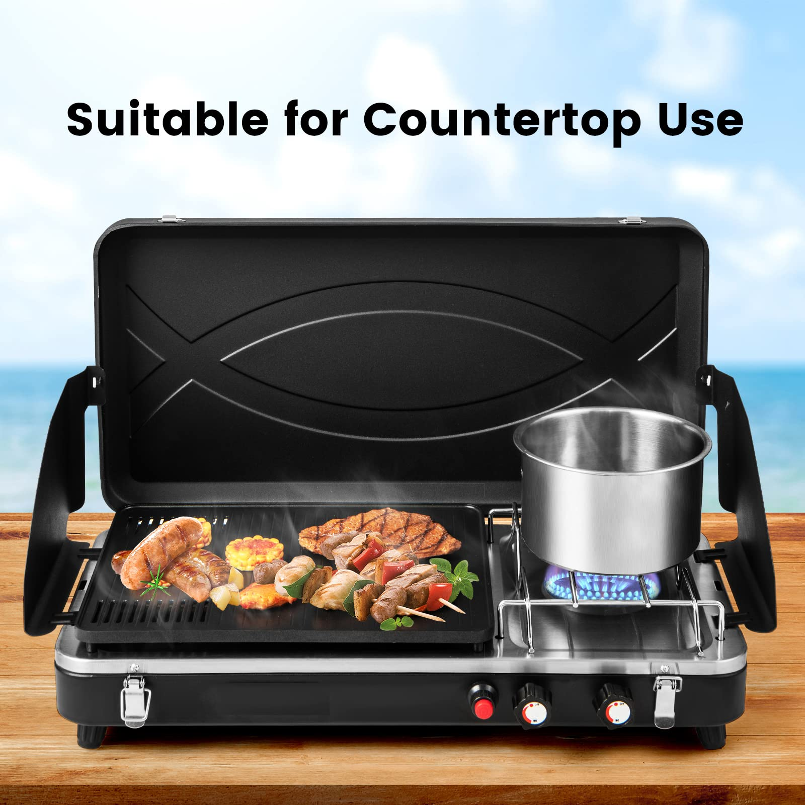 Giantex 2-in-1 Gas Camping Grill and Stove