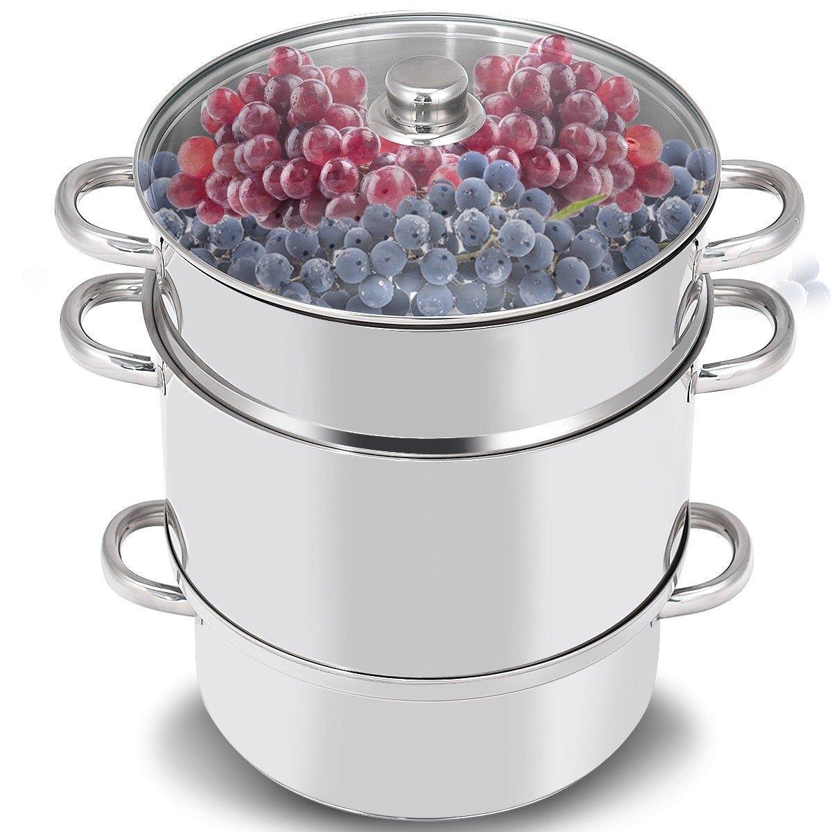 Steam Juicer for Canning-5 Quart, Stainless Steel Fruit Vegetables