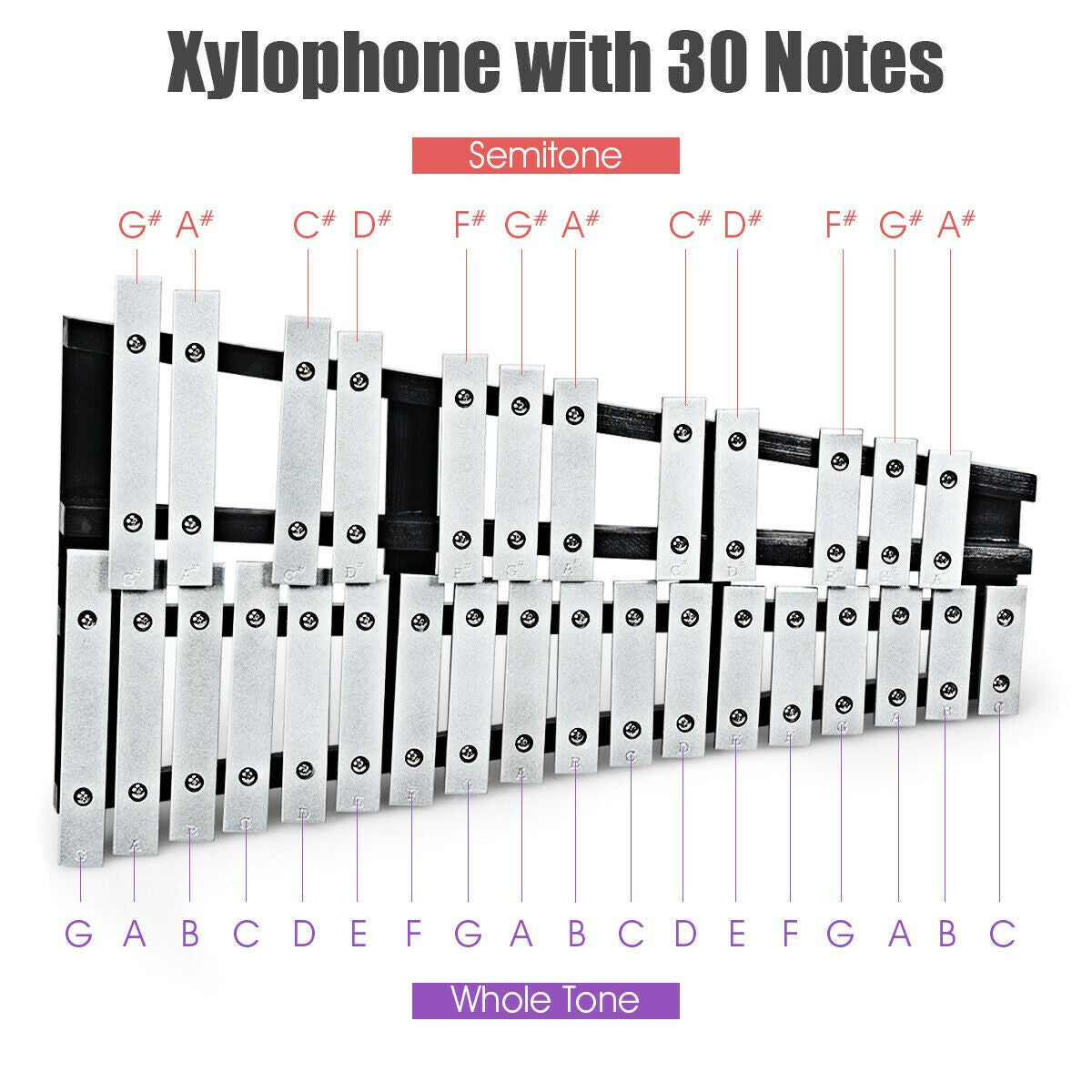 Foldable Glockenspiel Xylophone 30 Note Percussion Instrument for Adults and Kids